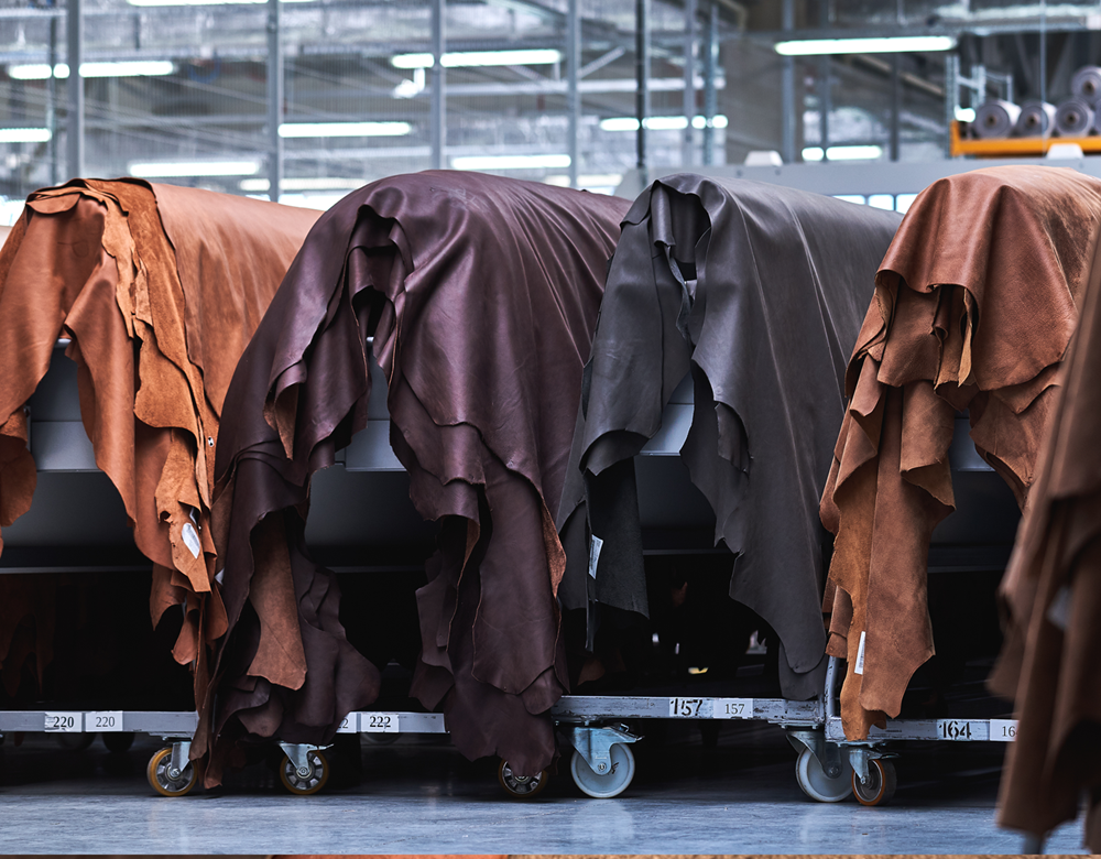 What will the Tannery in  2030 be like?