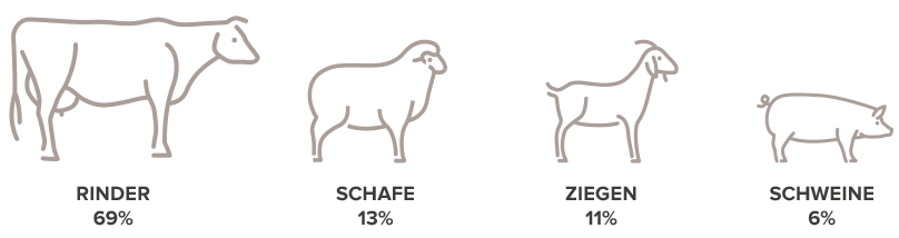 Components-and-species-copy.png